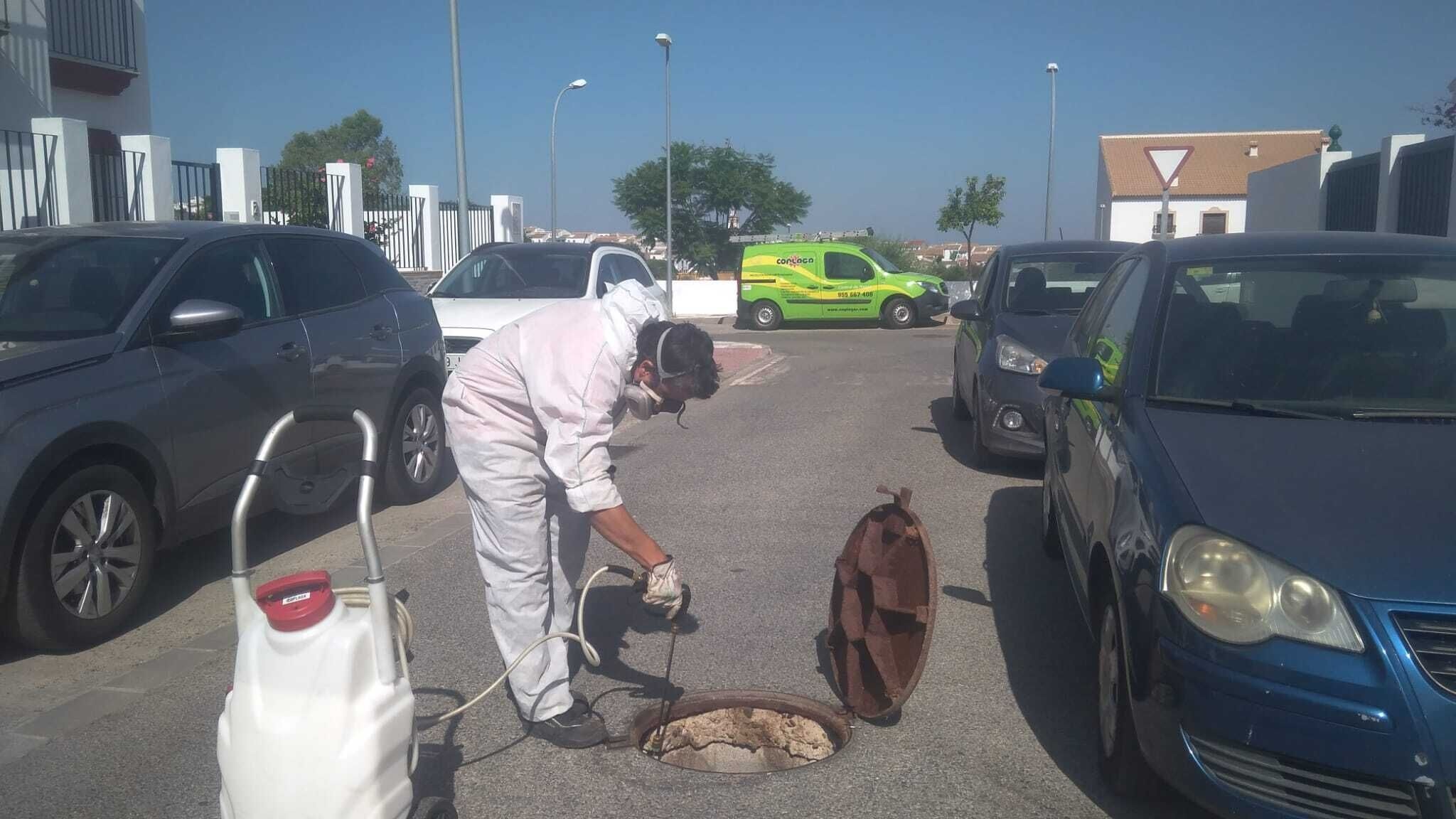 Plan de Actuación Coplaga.27.07 (25)