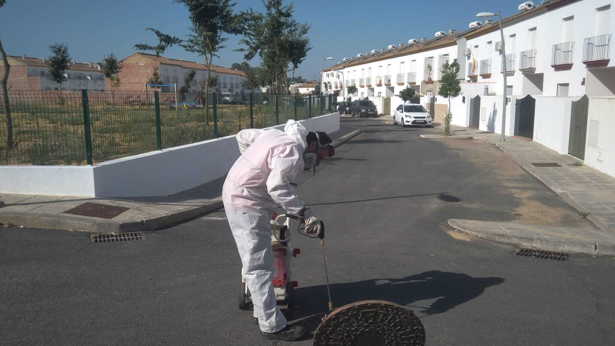 Plan de Actuación Coplaga.27.07 (6)