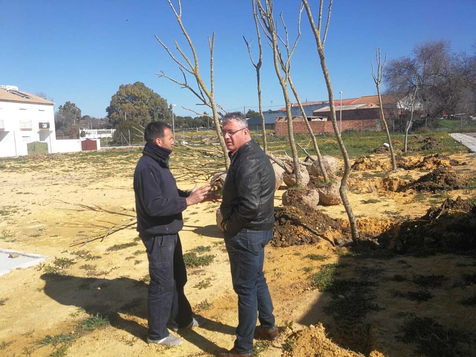 Plantación Arboles La Viña y cOLEGIOS.10.02 (5)