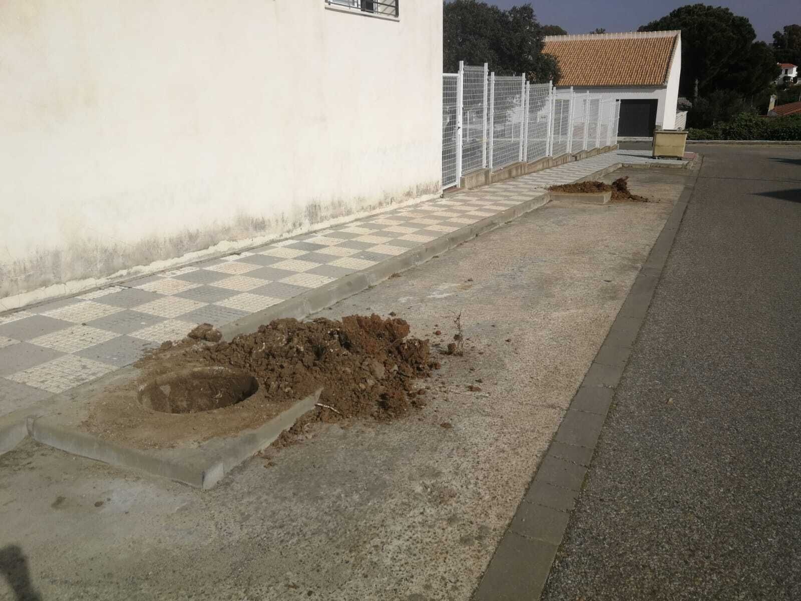 Plantación Arboles.22.02 (2)