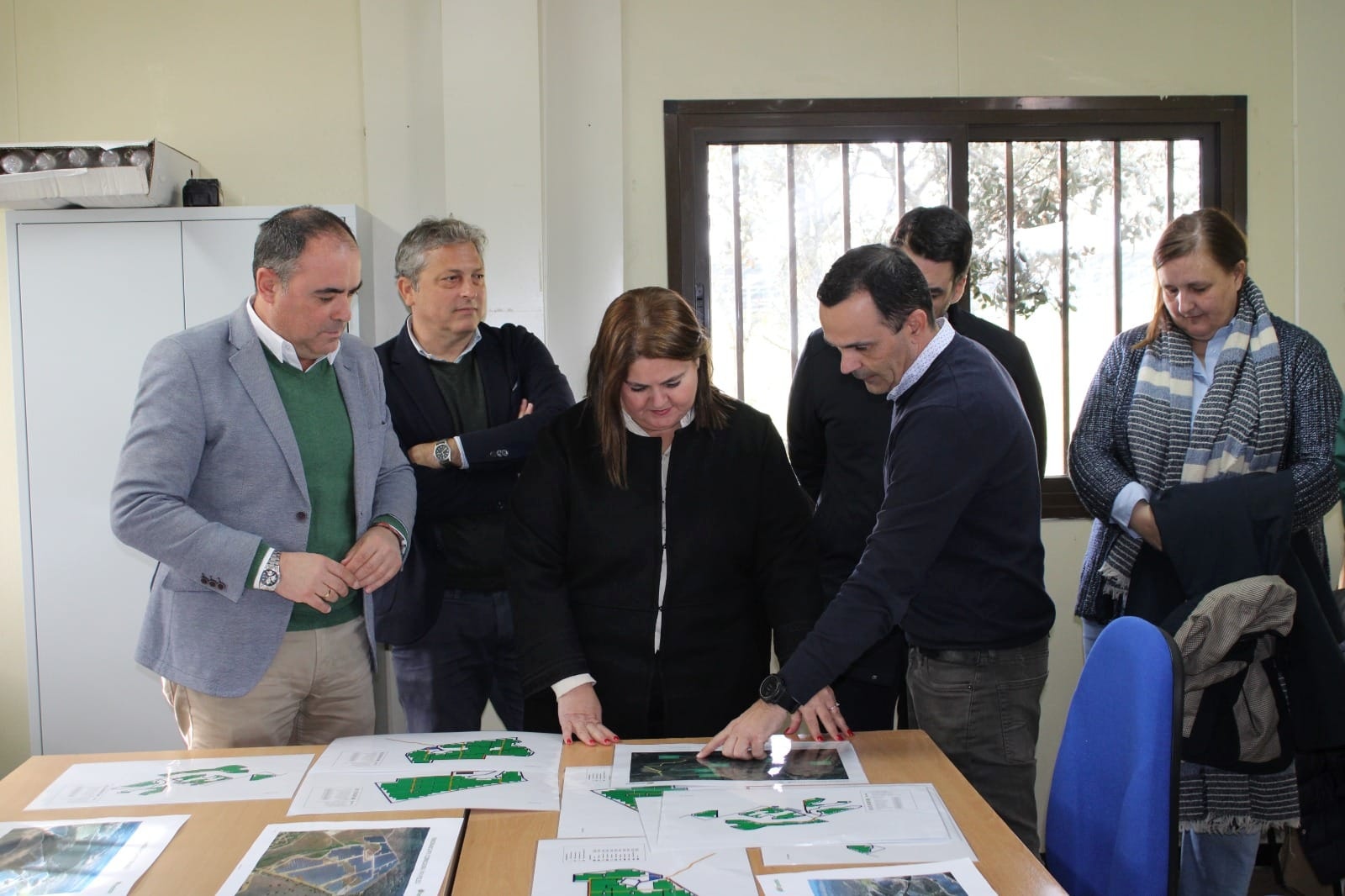 Plantas Solares. (3)