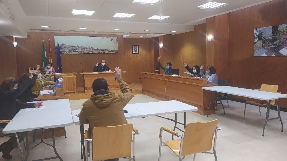 Pleno ordinario.17.12.20.2jpg