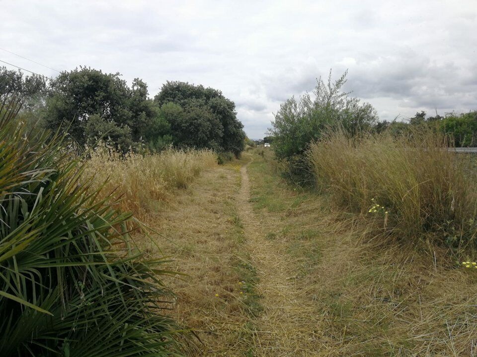 Recuperación Senderos.30.05.18