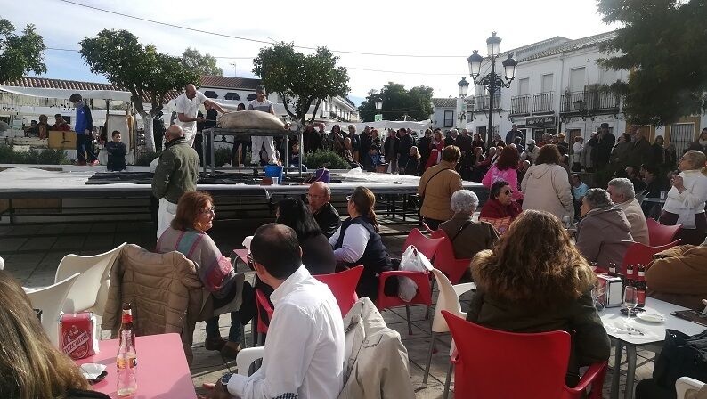 Ruta de la Tapa.29.11 (12)