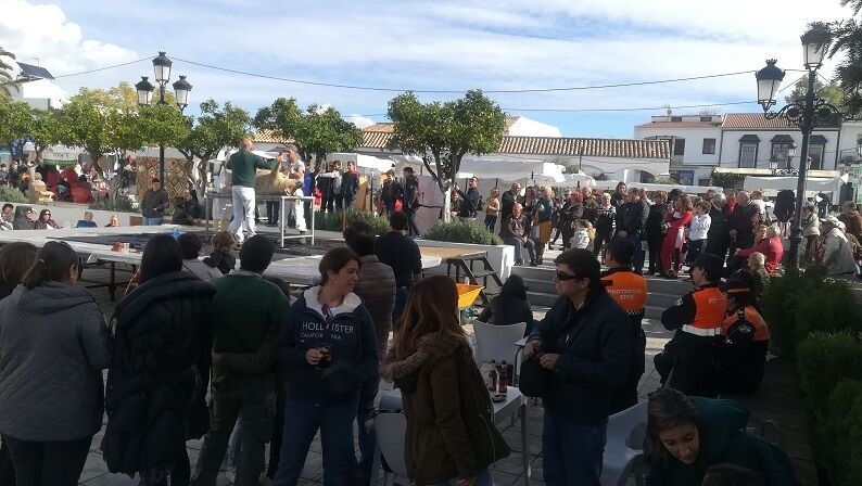 Ruta de la Tapa.29.11 (13)