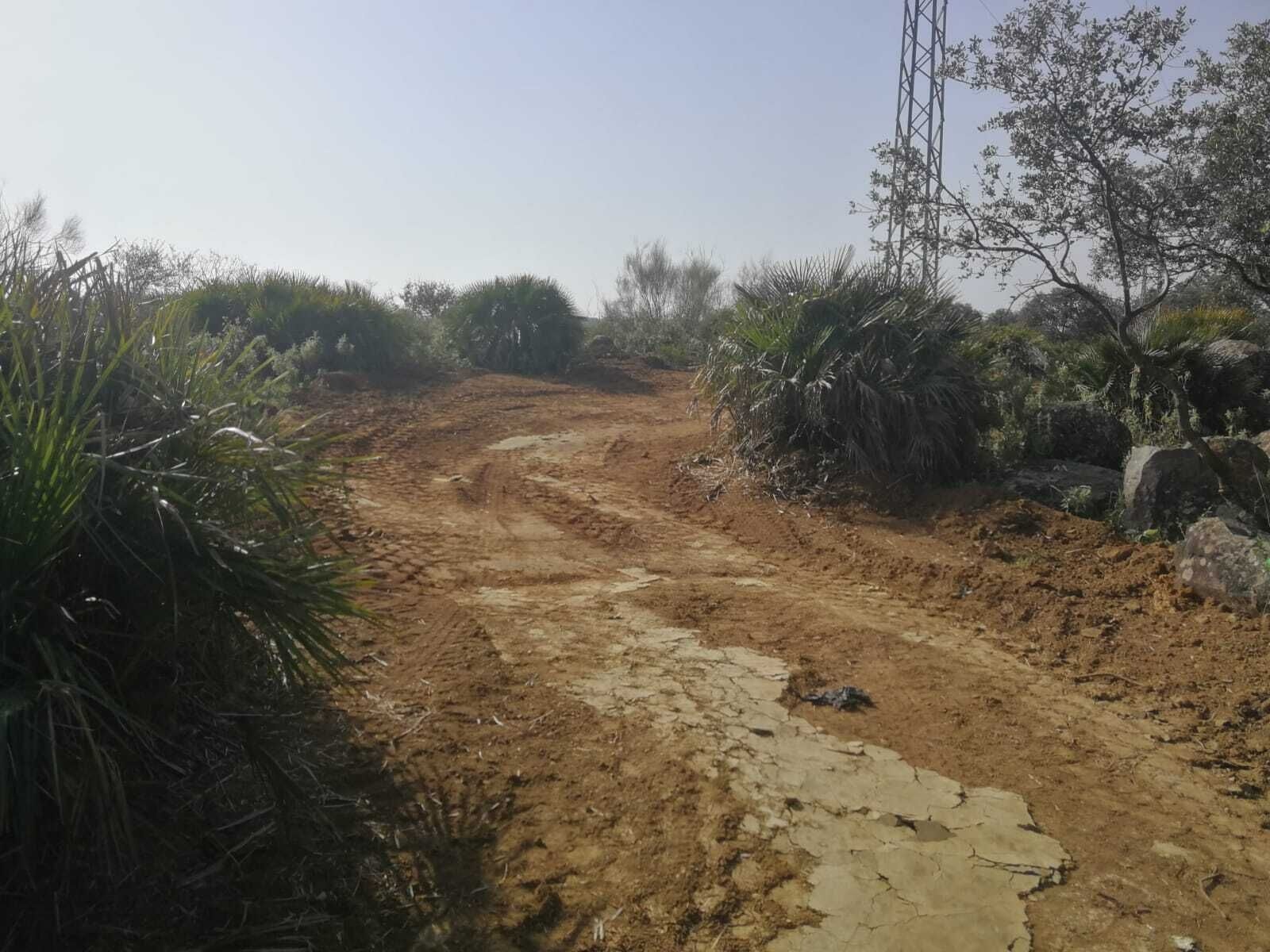 Sendero COlina.22.02 (4)