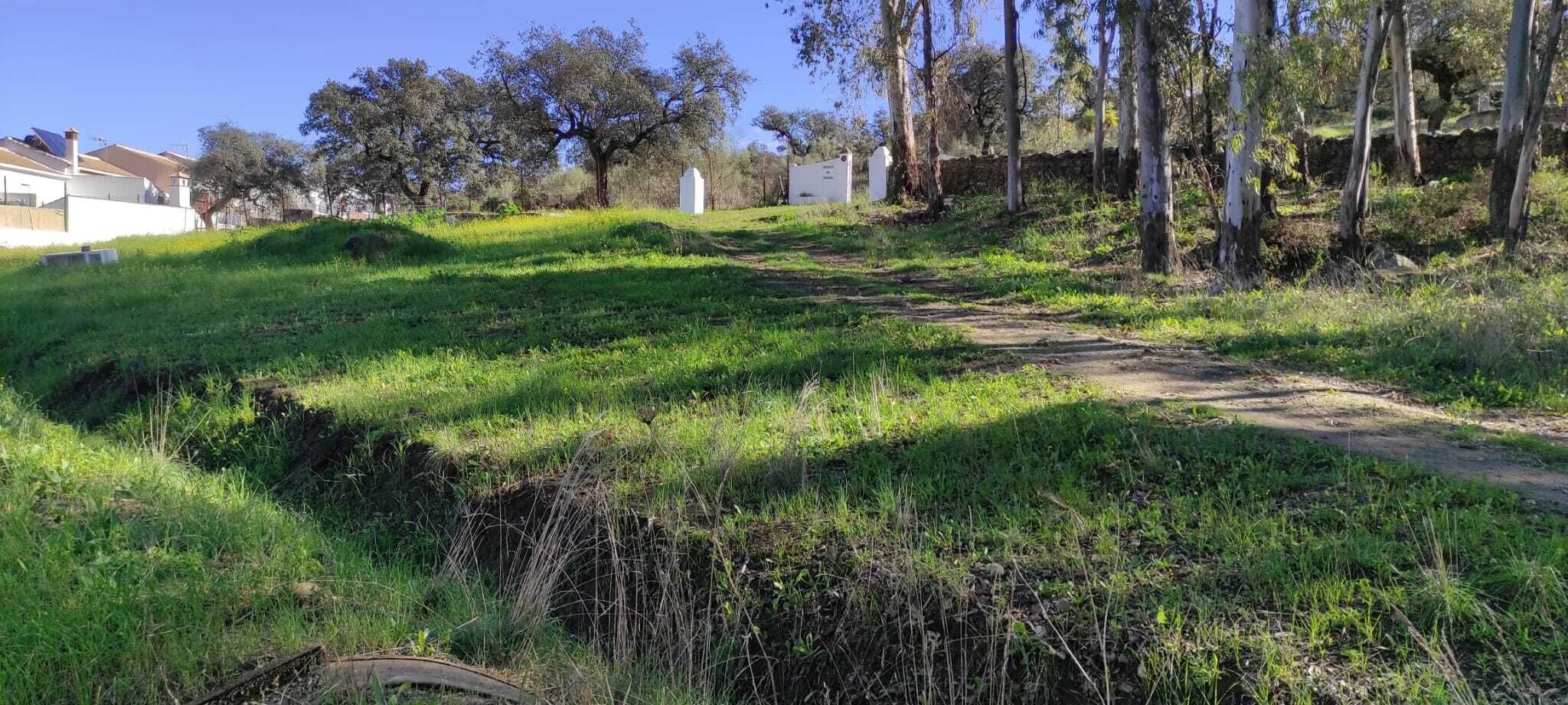 Servicio autocaravana.13.01.23 (3)