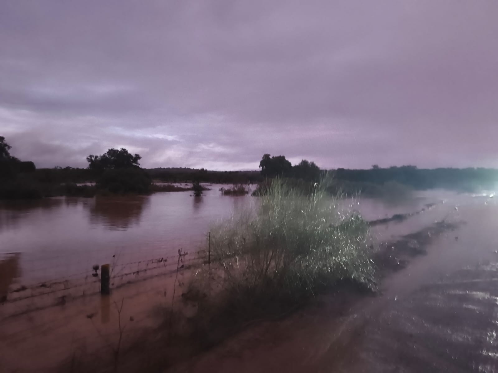 a39ea092-74d8-44db-bc33-cb7aede8e22c