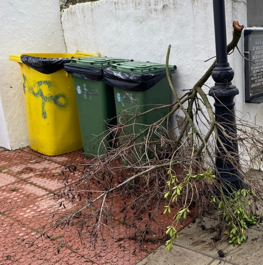 a5dc925c-374d-44e3-a450-e1dcc772e381