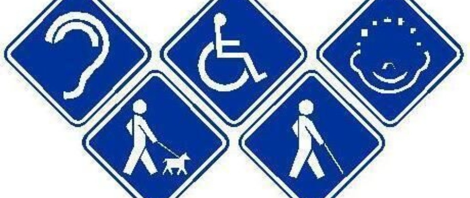 ayudas discpaacidad2