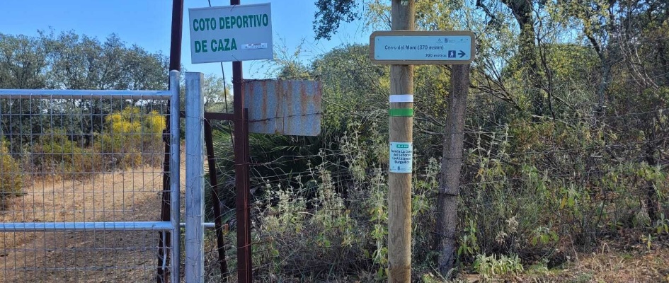 c21d65bf-f9f0-4ecf-aedb-6df5f903458f