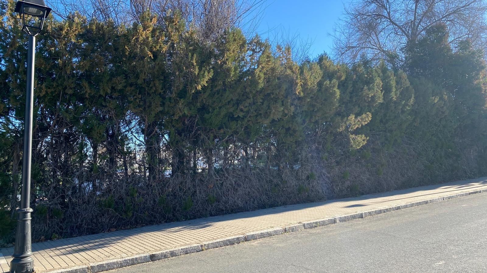 c81357ad-2231-453c-a3ae-1572c916f3bc