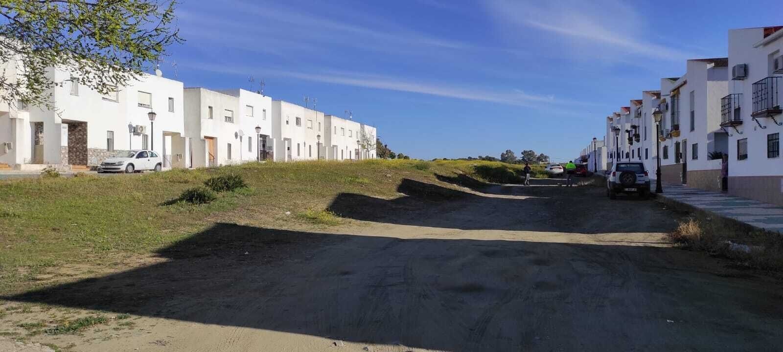 calle trabajadoras de la crin vegetal3