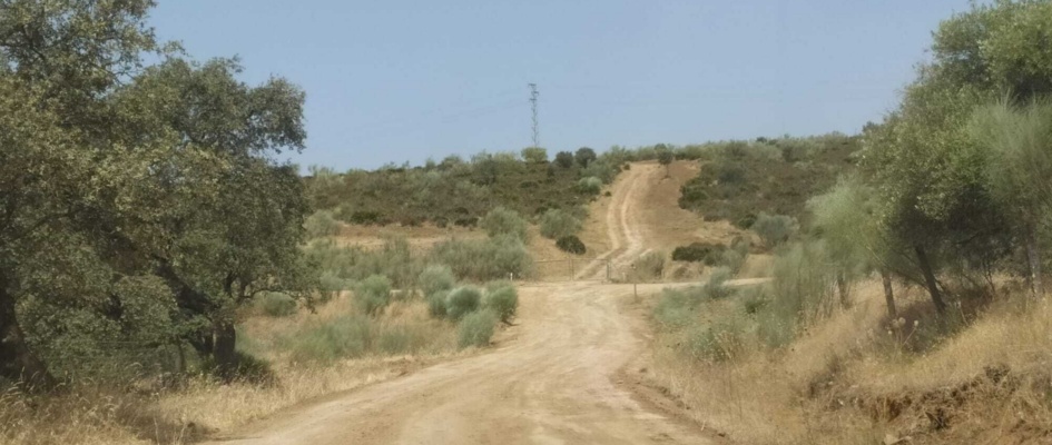 camino pantano3