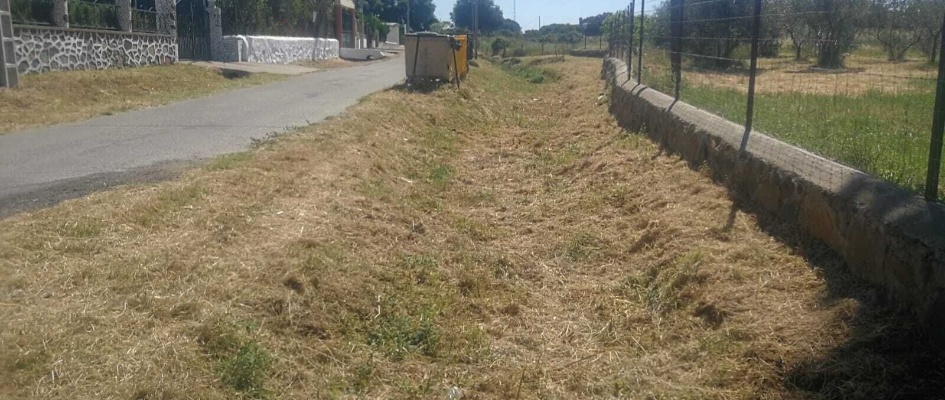 camino viejo el pedroso1