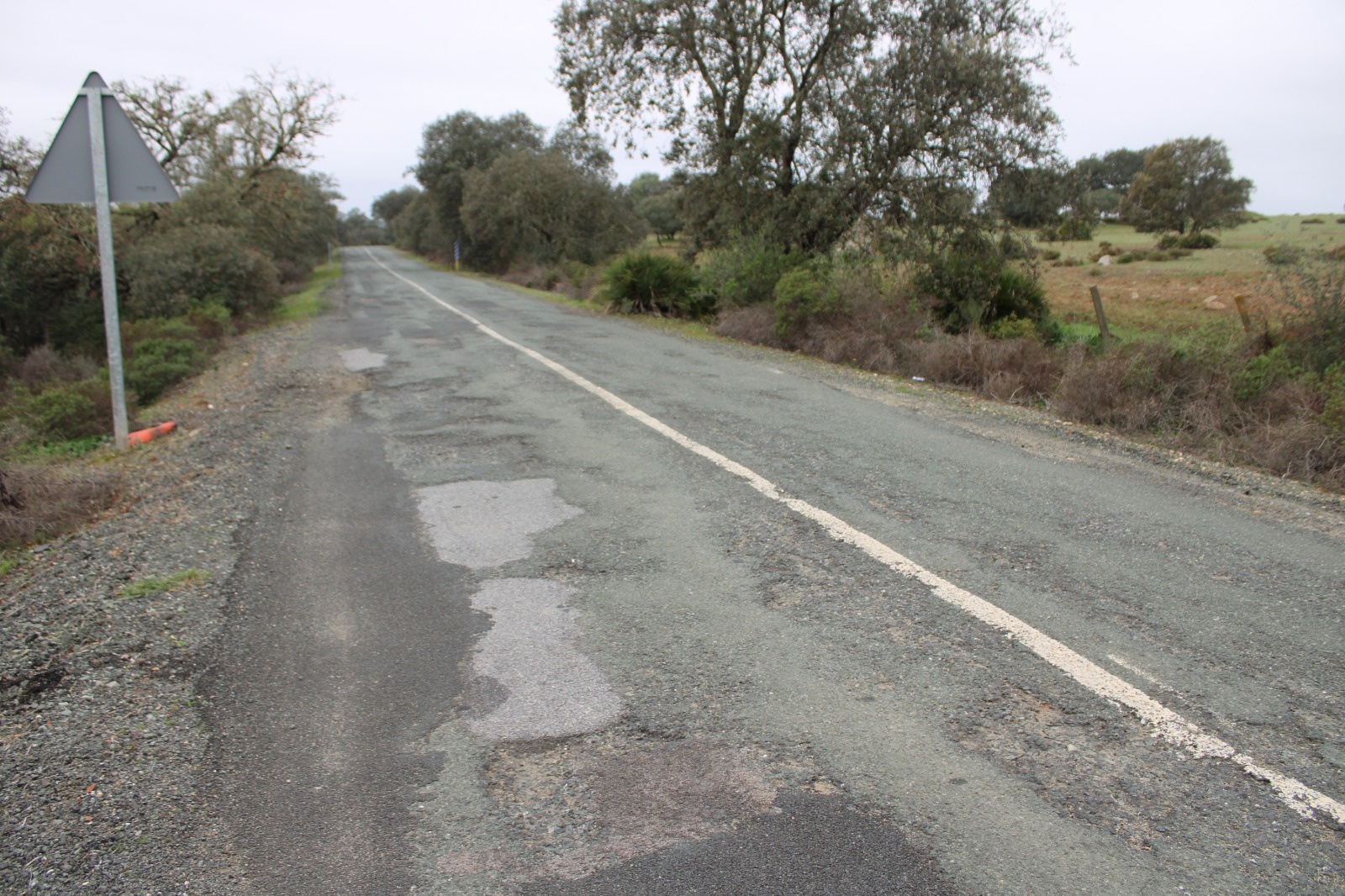 carretera el pedroso1