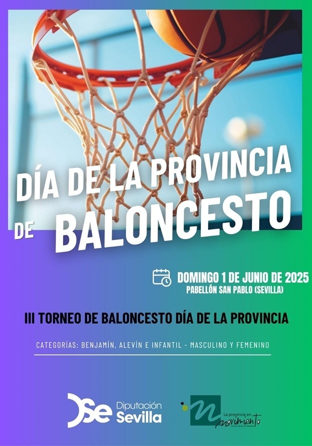 cartel baloncesto