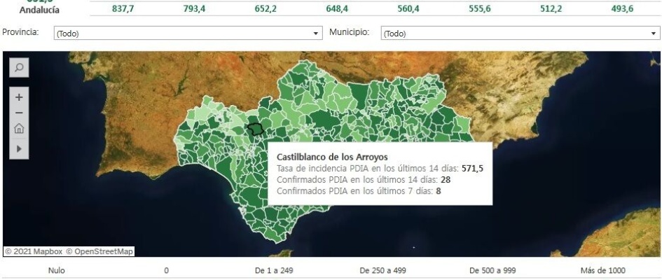 casos covid 11.02.21