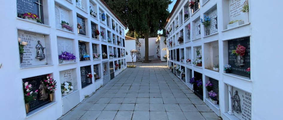 cementerio 30.01.25 (2)