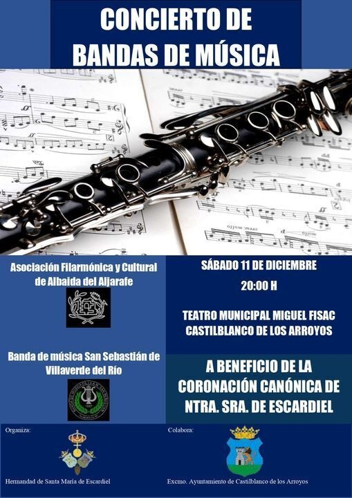 concierto bandas