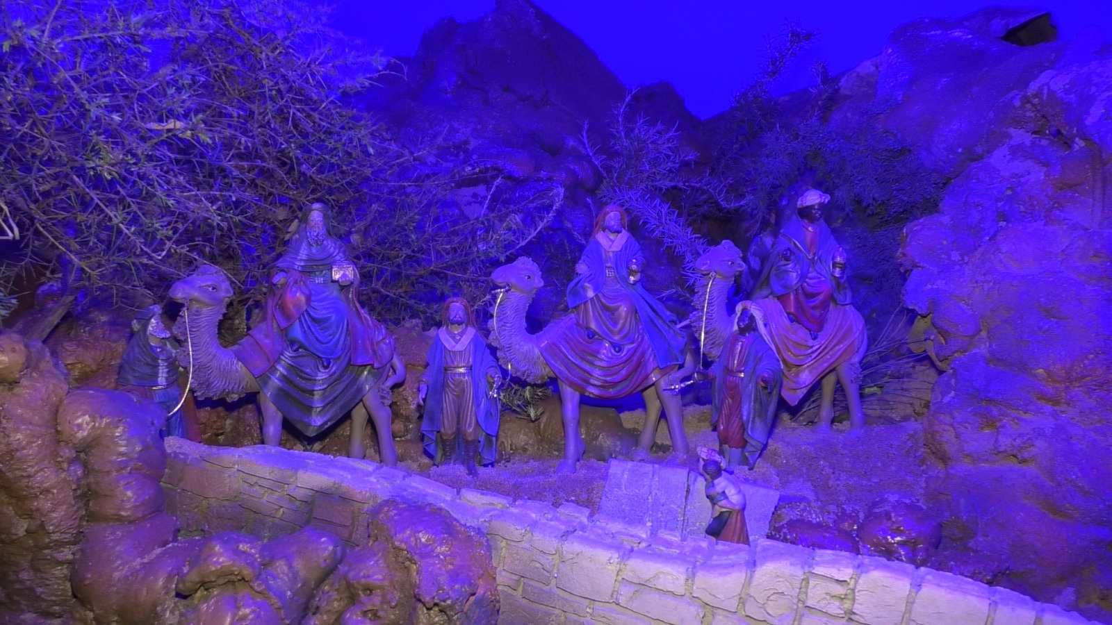 dbaca71c-2e6f-4b46-8628-b7bd0202eeee