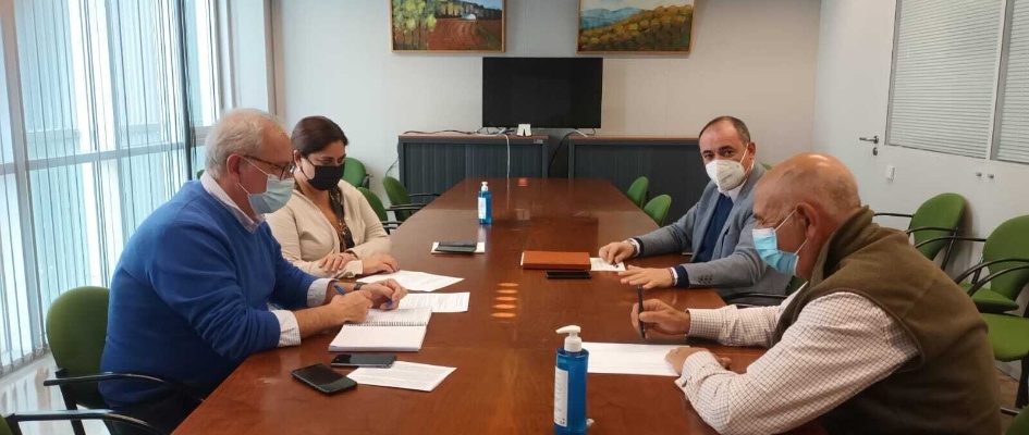 delegada territorial desarrollo1