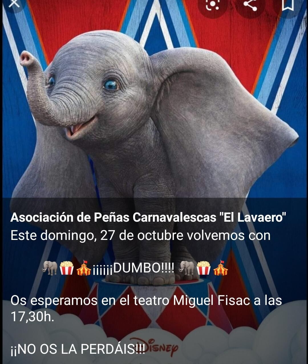 dumbo