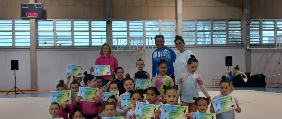 escuela gimnasia ritmica
