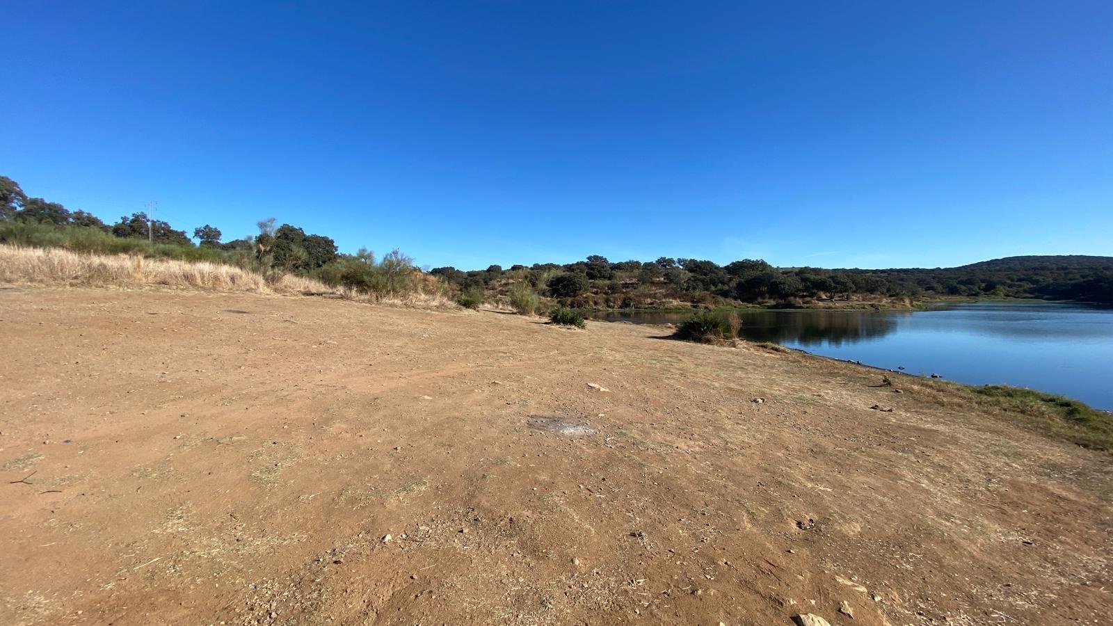 f069daff-0202-4cb4-aeac-f925d149f0c5