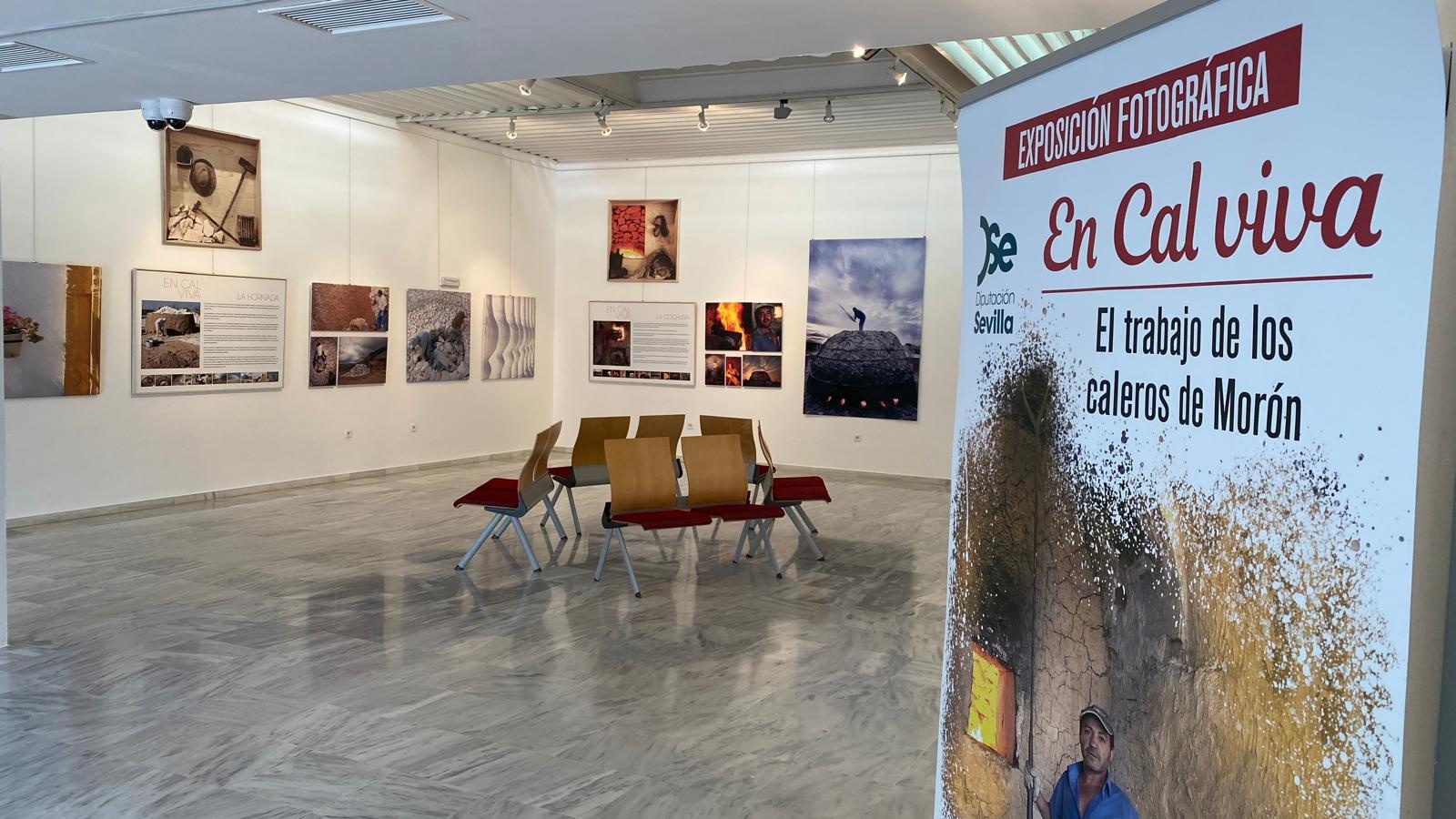 fb17e5f1-c8ba-444a-ba4d-2f506b53ab2d