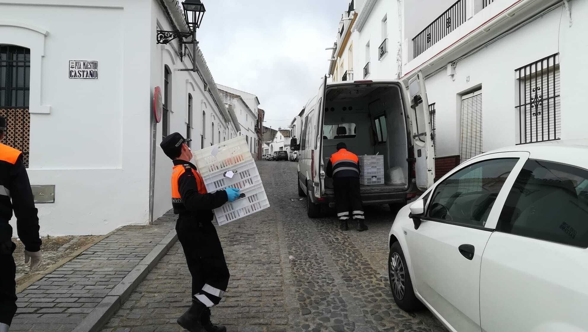 ff522053-d9c4-4680-b5c1-756f6c8d2ea2