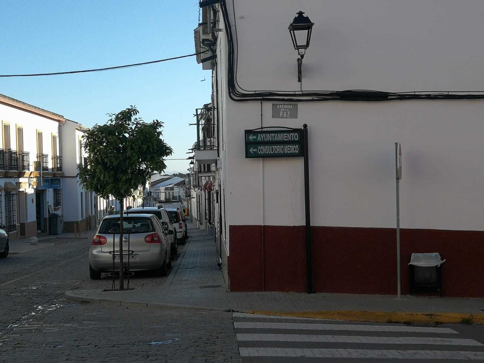 iLUMINACIÓN aVENIDA DE LA PAZ.11.04 (3)
