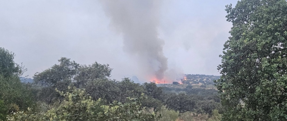 incendio3