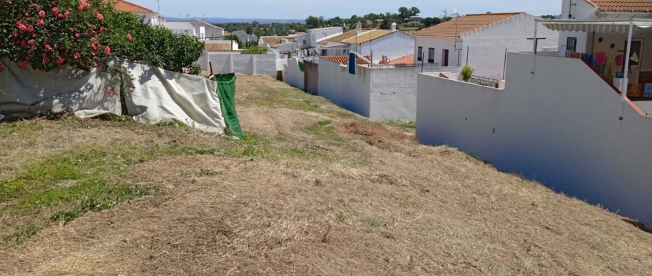 limpieza solares.20.05 (2)