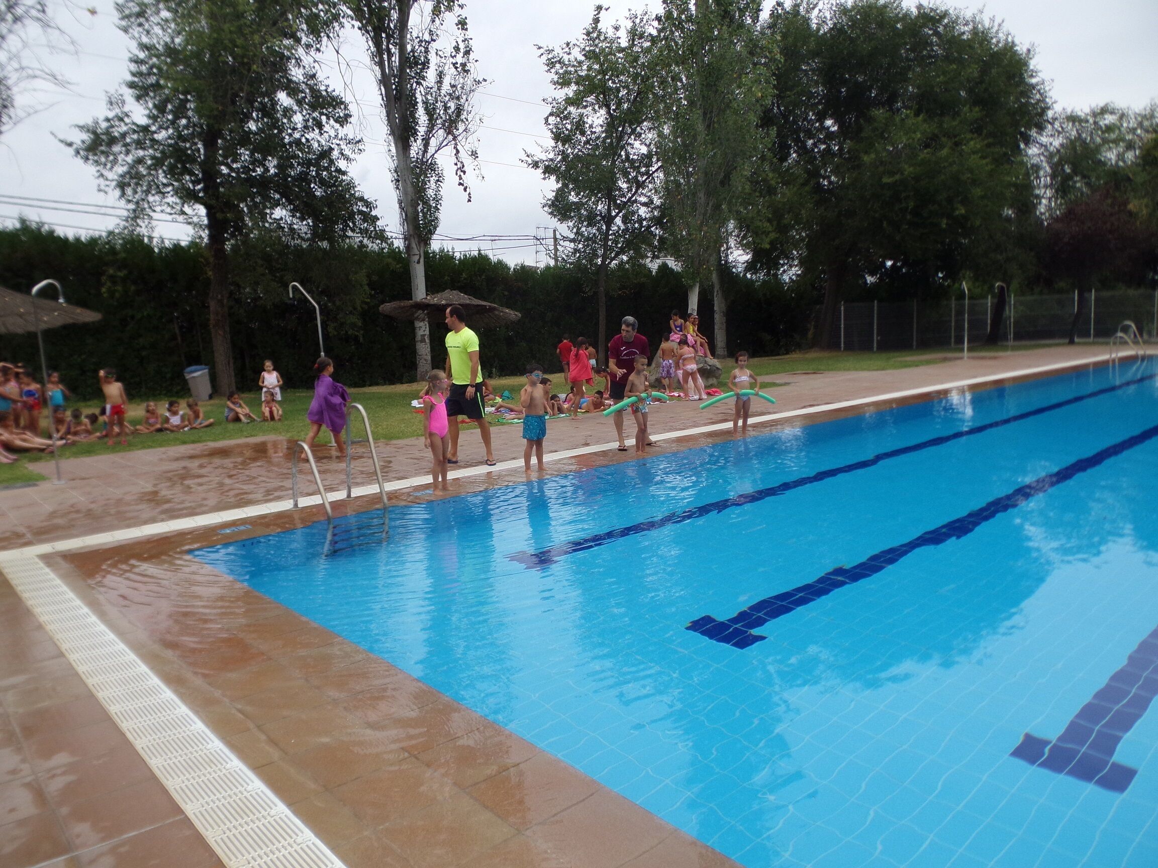 escuela cursos de natacion2