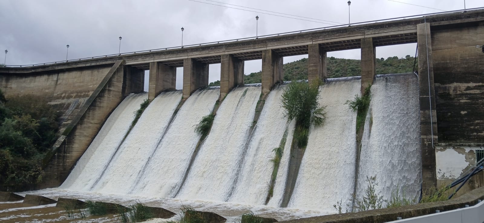 pantano infraestructuras (3)