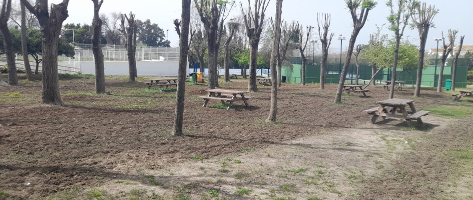 replantación merendero