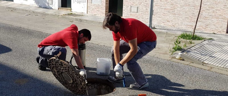 tAREAS dESRATIZACIÓN.07.05 (1)