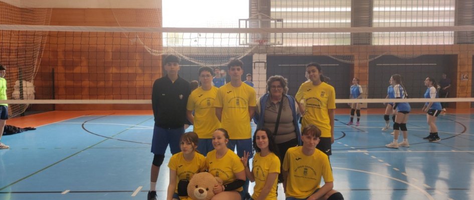 voleibol