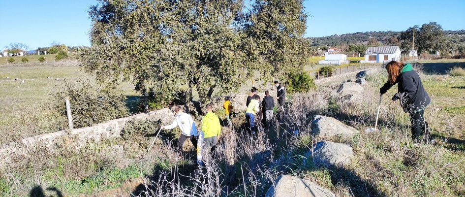 voluntariado mediambiental (15)