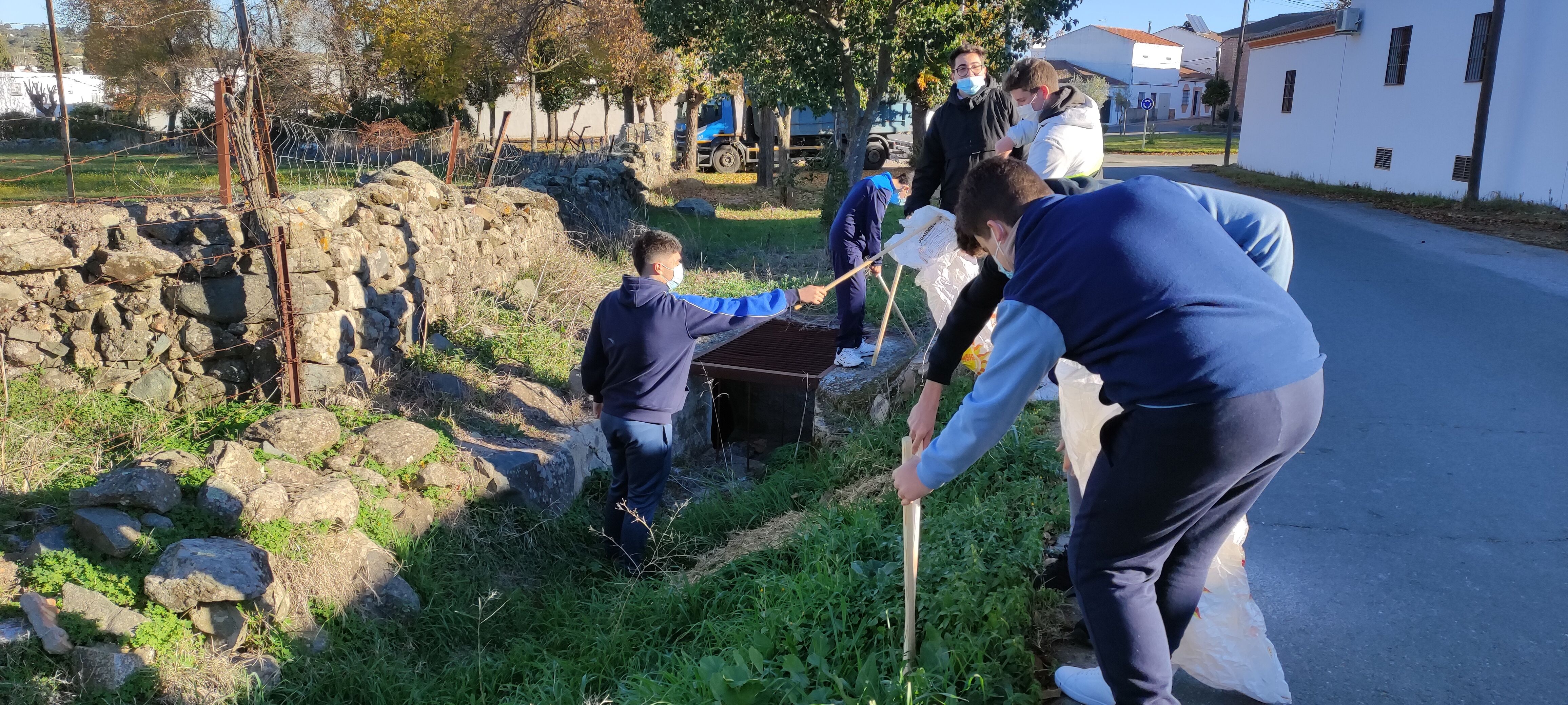 voluntariado mediambiental (9)