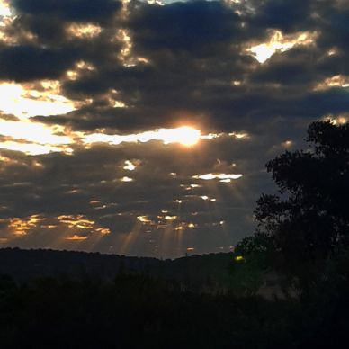 Rayos crepusculares en el amanecer